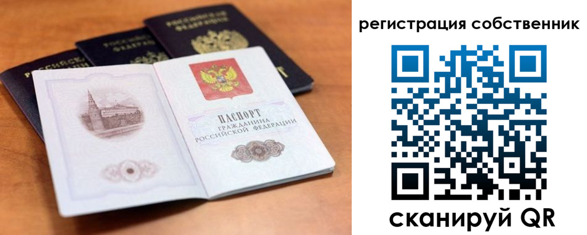 временная регистрация 2025 в Алексеевке